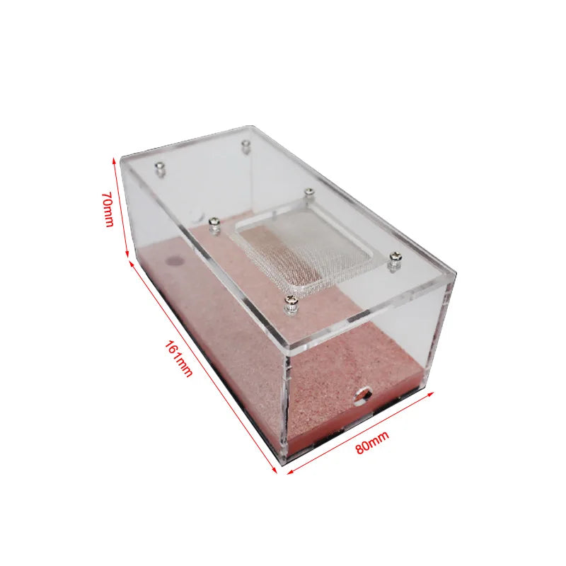 Ecological Ant Farm House with Independent Lights Control Ant Nest Concrete Insect Hotel Pet Anthill Workshop 3 Lights Ant House