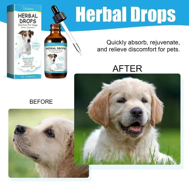 Pet Cough Relief Drops for Dogs, Soothing Throat Support for Sneezing, Natural Respiratory Aid Treat, Helps Immunity Daily Care