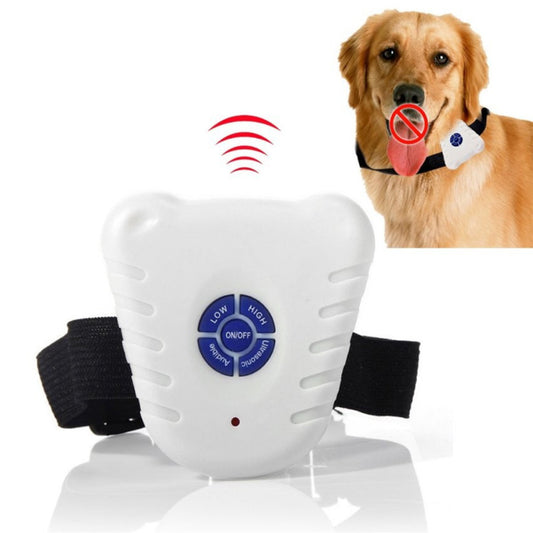 4aabaf1a7097f0a61925d5d1023867a6