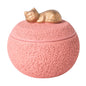 Pet Urn Cremation Memorial Urn Pets Supplies Keeping Precious Memories Urn Box for Burial Final Comforting Resting Place Funeral