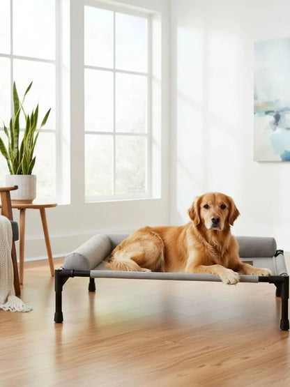 Elevated Pet Bed All-Season Use Raised Dog and Cat Bed Pet Cot Sturdy Frame With Pillow Support for Felines, Travel