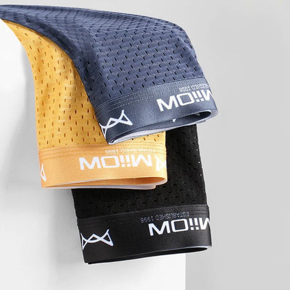 MiiOW 3Pcs Sexy Mesh Men Boxer Underwear Graphene Antibacterial Male Panties Ice Silk Underpants Breathable 4XL Boxershort 2022