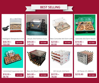 Ecological Ant Farm House with Independent Lights Control Ant Nest Concrete Insect Hotel Pet Anthill Workshop 3 Lights Ant House