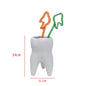 Dental Tooth Shape Flower Vase Home Decoration Pot Creative Garden Planter Pot Ceramic Pen Holder Cute   Dentistry Dentist Gifts