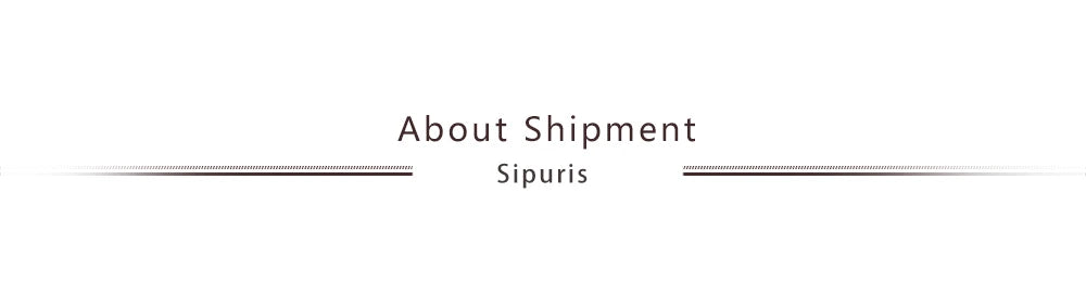 Sipuris Custom Name Bracelets With Crown For Women Stainless Steel Customized Personalized Unique Bracelet Jewelry Gifts