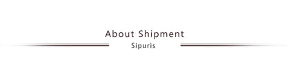 Sipuris Custom Name Bracelets With Crown For Women Stainless Steel Customized Personalized Unique Bracelet Jewelry Gifts