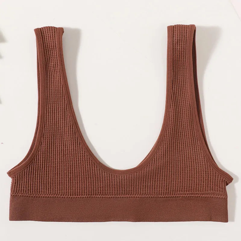 Women Push-Up Bra Small Cup Non-wire Bralette U-Neck Ribbed No-Pad Underwear Multiple Colors Crop Top Ladies Sexy Lingerie M-XL
