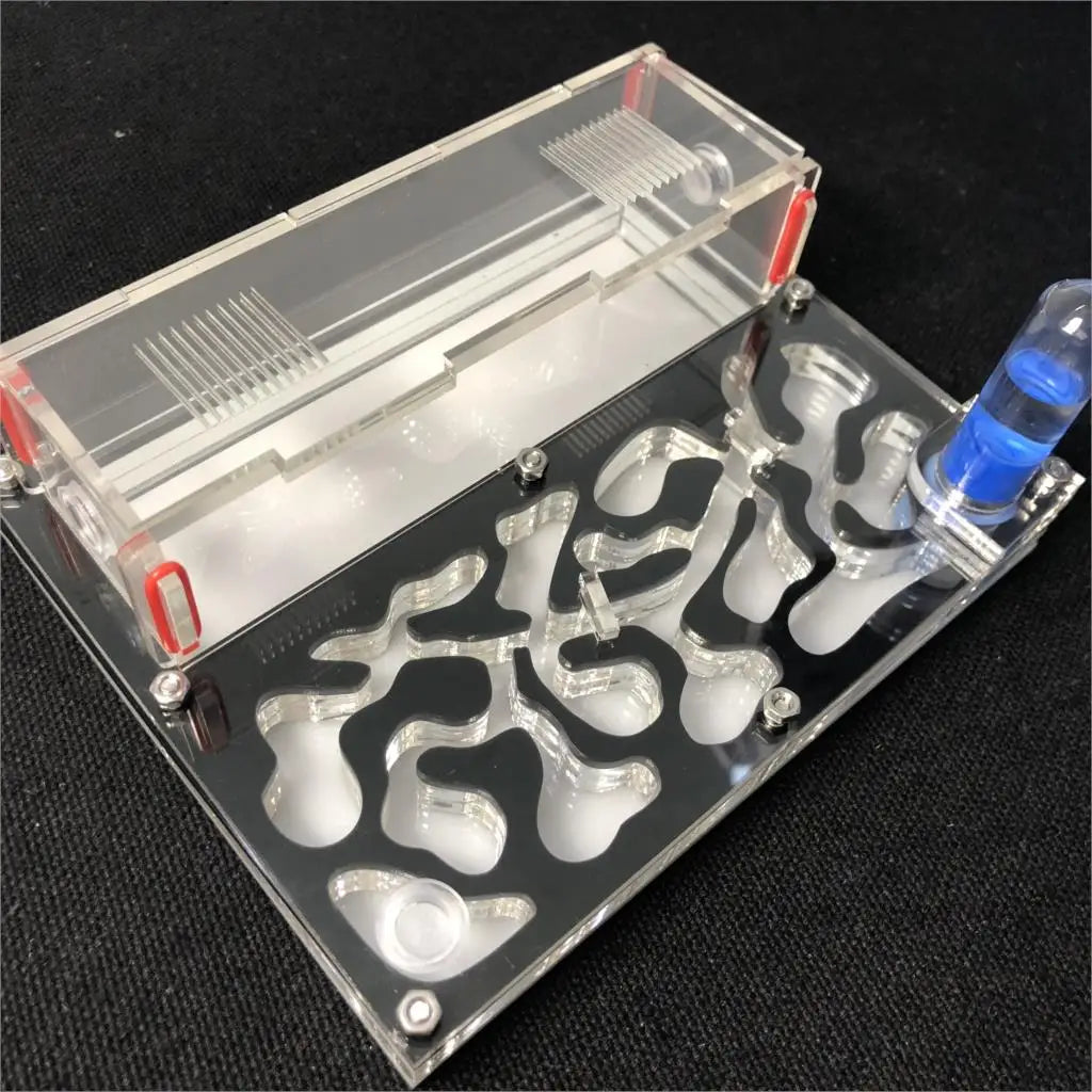 150mmx110mm test tube Moisture big space Ant Nest ,Ant Farm Acrylic, Insect ants Villa House Ants Ecological Workshop
