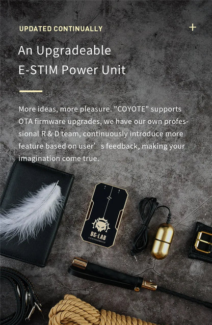 DG-LAB 3.0 E-Stim Power Box APP Control Electric Shock Medical Themed  Sex Toys SM Player Sex Electrical Stimulator For Couples