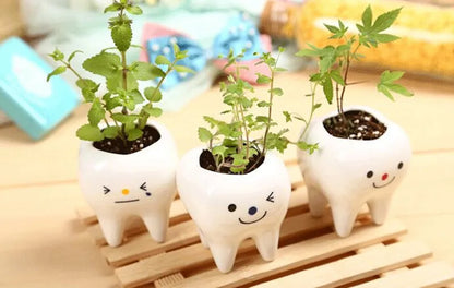 Dental Tooth Shape Flower Vase Home Decoration Pot Creative Garden Planter Pot Ceramic Pen Holder Cute   Dentistry Dentist Gifts