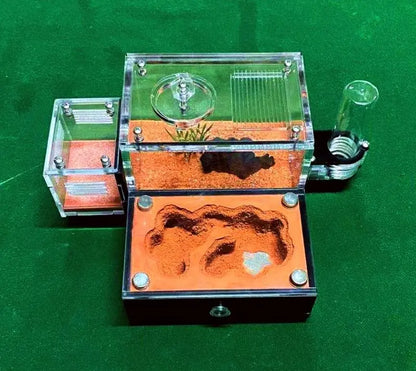 Ant Farm with External Water Tower and Garbage Area Yellow Soil Ant House Queen Breeding Area Ant Nest Anthill Castle Insect Box