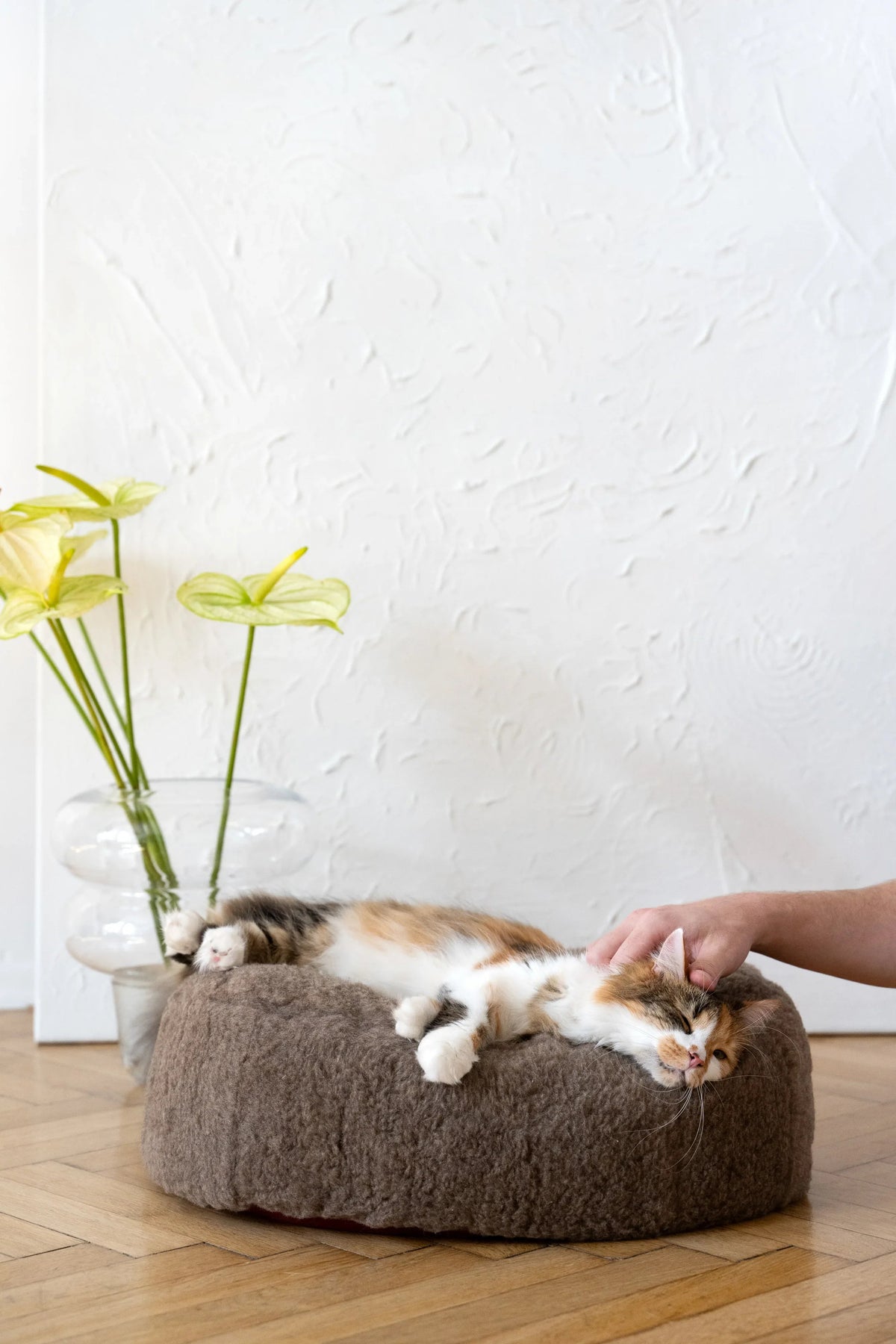 Oval Natural Wool Pet Bed - Beige