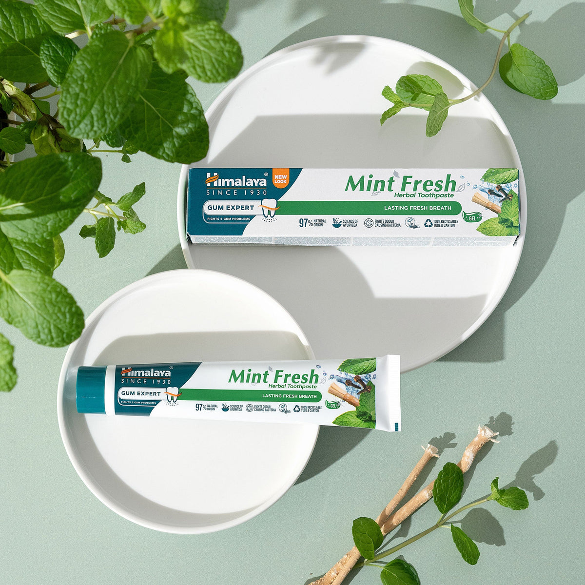 Himalaya Gum Expert – Mint Fresh Zahnpasta - 75 ml