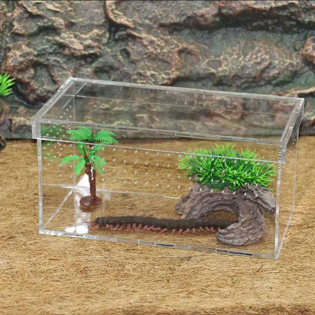 Plastic Reptile Vivarium Terrarium Easy to Observe with Reptile Terrarium Accessories for Small Animal Care