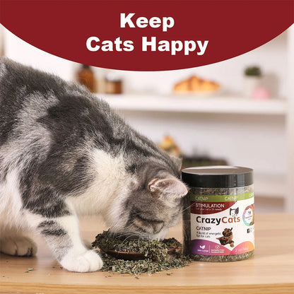 Pet's Cat Premium Catnip-56g Jar of High Potency Catnip,100% Natural & Chemical-Free,Safe for All Cat Ages