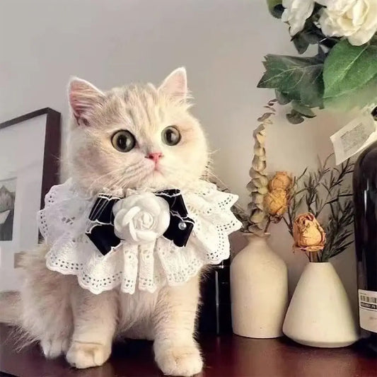 Elegant Design Pearl Pet Collar Lace Collar Princess Style Pet Bow Accessories Headgear Silk Material Bowtie Wedding Ceremony