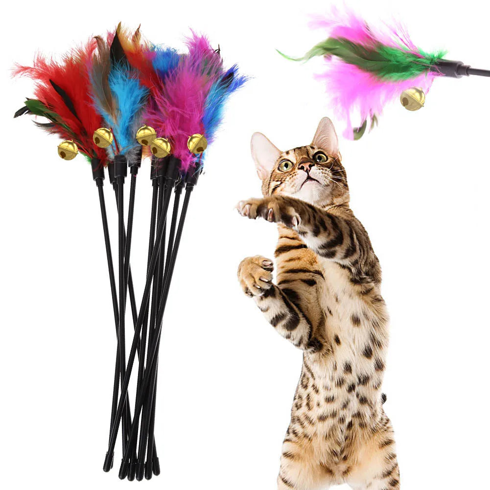 5pcs/set Interactive Funny Cat Stick Colorful Feather Cat Game Wand Exquisite Portable Creative Fashion Novelty Pet Cat Supplies