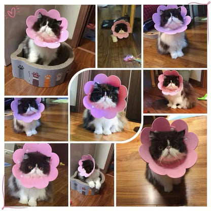 Pets Protective Collar EVA Soft Flower Shape Anti-lick Cats Dogs Wound Healing Protection Cover Anti-bite Animal Supplies