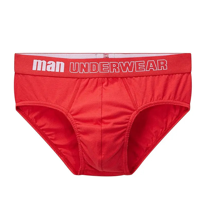 Cotton Briefs Mens Comfortable Underpants Man Underwear M L Size Sexy Man Boxers Breathable Underwear