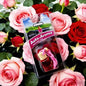 Car Fragrance Air Freshener Pendant, Individually Packaged, Creative Car Aroma Hanging Decoration, Long-Lasting Fresh Scent, For
