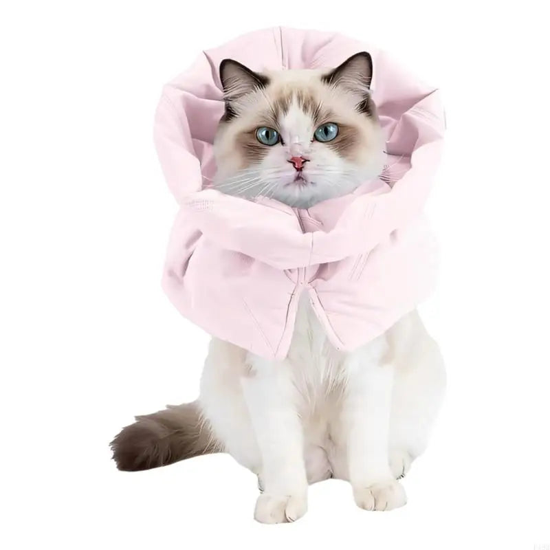 F19B Gentle Recovery Cones Cats Soft Prevents Biting And Licking Wounds