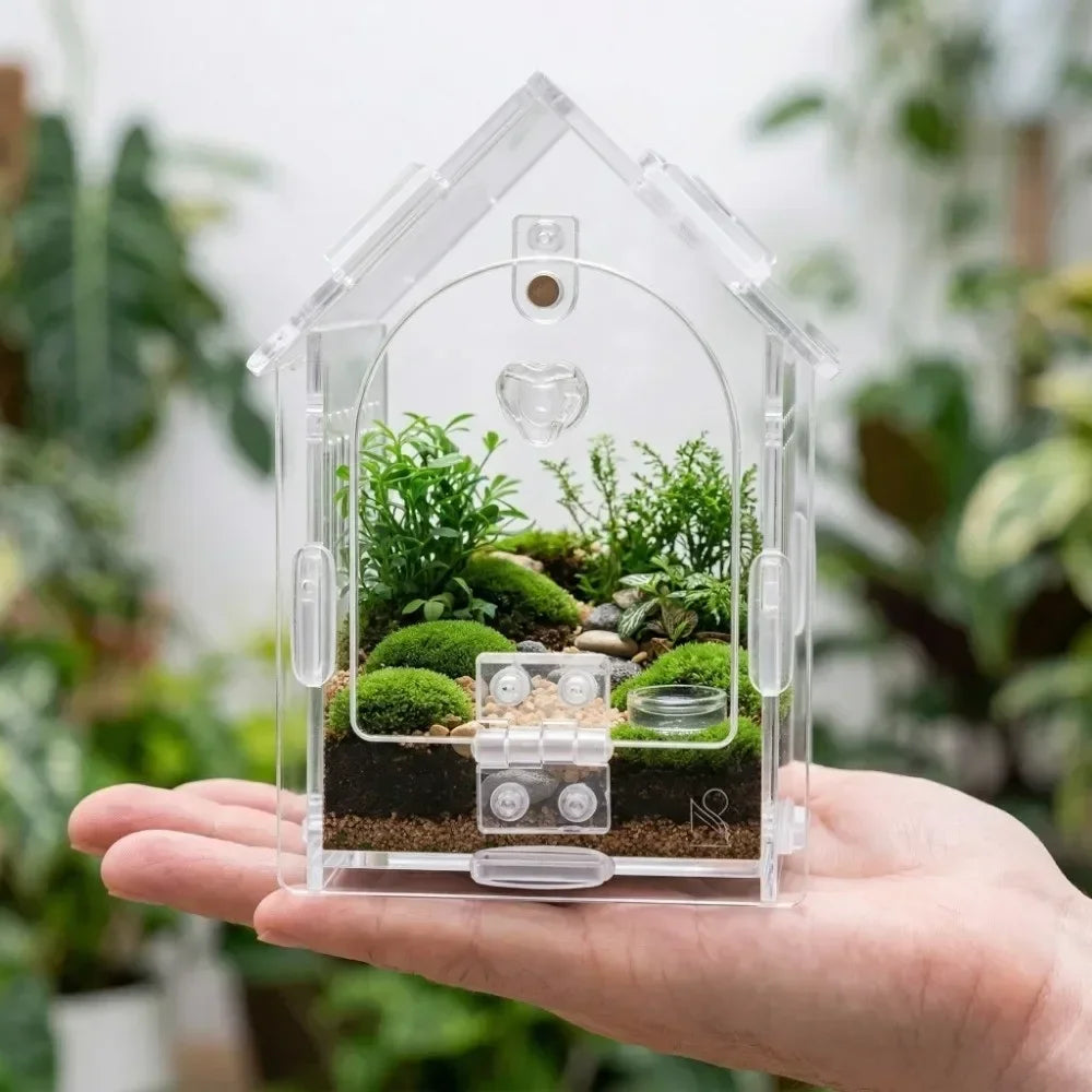 Portable Jumping Spider Enclosure Front Opening Removable Reptile Terrarium with Feeding Port Transparent