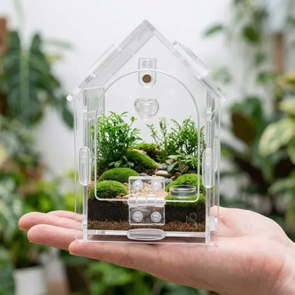 Portable Jumping Spider Enclosure Front Opening Removable Reptile Terrarium with Feeding Port Transparent