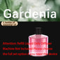 Smart Car Aroma Diffuser Rechargeable Air Freshener Auto On Off 5 Modes Starry Sky Ambient Light USB Car Purifier Humidifier