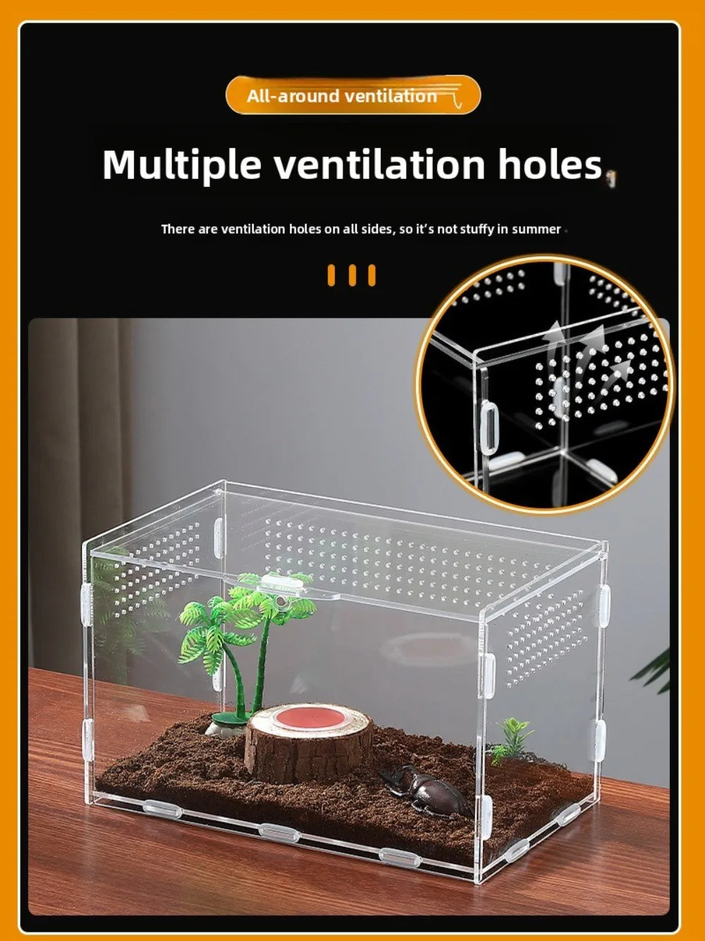 Acrylic Jumping Spider Enclosure 2 Doors Transparent Small Pet Terrarium Escape-proof Ventilated Design Reptile Habitat