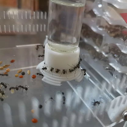 Ant Farm Water Feeding Area Water Bowl for Ant Anthill Ant Nest Large Capacity Water Feeder Ant House Drinking Bottle Workshop