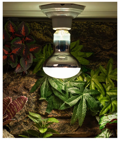 SuperRep Full Spectrum Reptile Sun Lamp - UVA/UVB Heat & Light for Tortoises & Bearded Dragons - Calcium Synthesis Basking Bulb