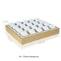 Luxury Gold White PU Leather Necklace Ring Earring Holder Jewelry Tray Series Jewelry Disply Jewellery Organizer Box