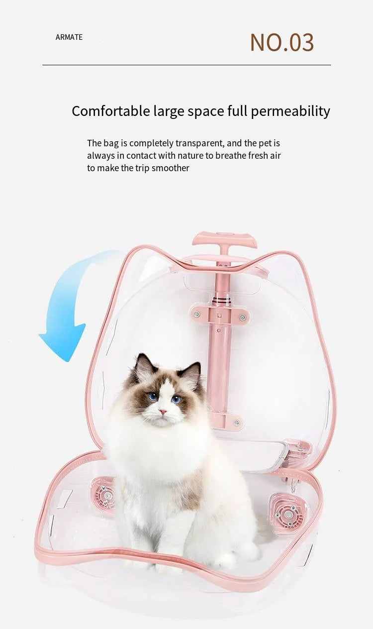Pet Trolley Case, Fully Transparent Cat Case, Breathable Space Cabin Cat Bag, Outdoor Bag, Portable Small Dog Bag