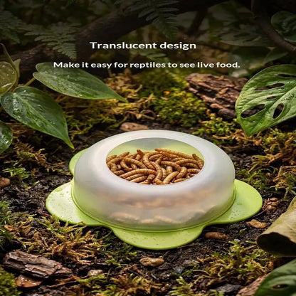 New 1Pcs ABS Reptile Feeding Dish Anti Escape Worm Food Bowl For Lizards Geckos Snakes Turtles Tortoises