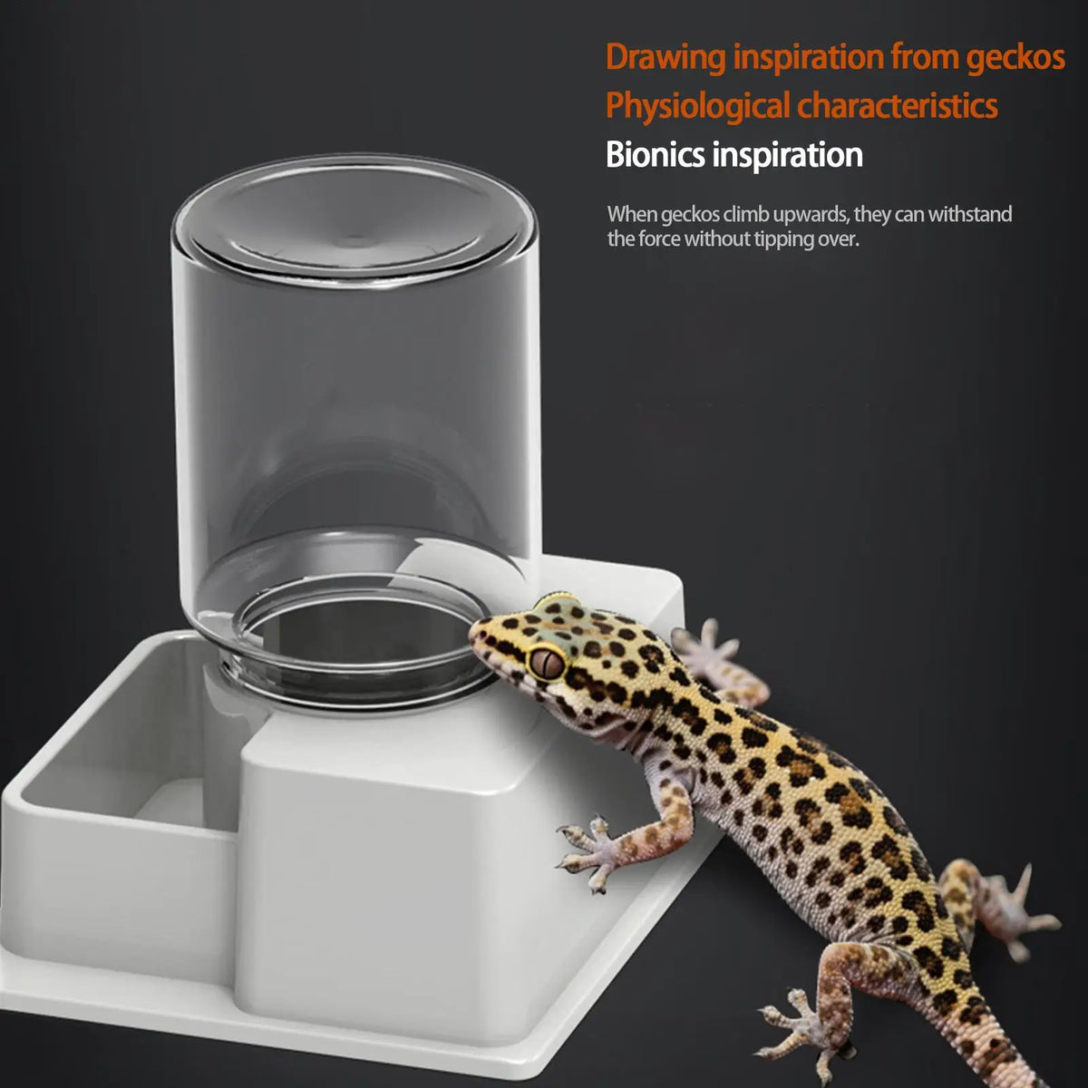 Reptile Water Dispenser Automatic Detachable Anti Drowning And Anti Evaporation Automatic Water Dispenser For Geckos Lizards