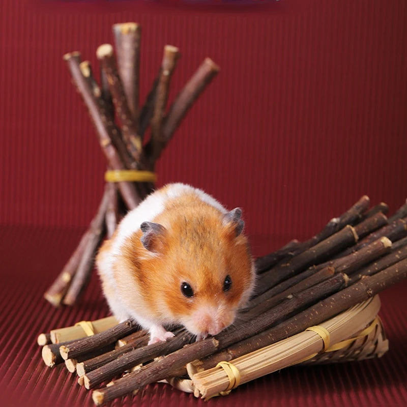 Hamster Molar Stick Toys Sweet Bamboo Stick Apple Twig Rabbit Dutch Pig Chewing Twig Nibble Small Pet Toy Dried Molar Toys 50g