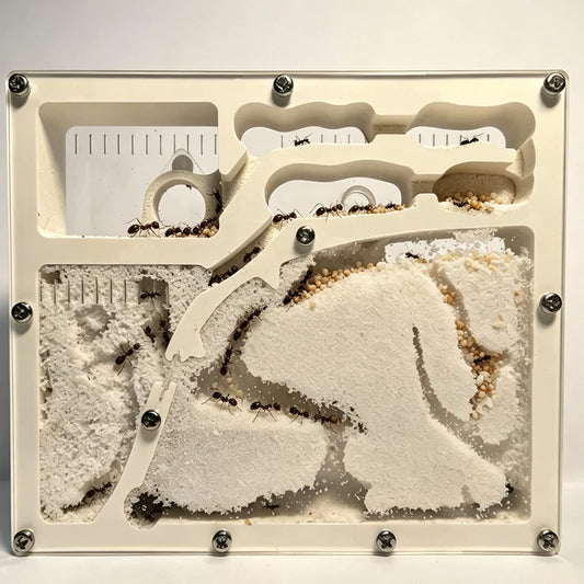 Acrylic DIY Large Ant Farm with Feeding Area Big Ants House Ant Nest Villa Insect Habitat Pet Anthill Ecological Workshop