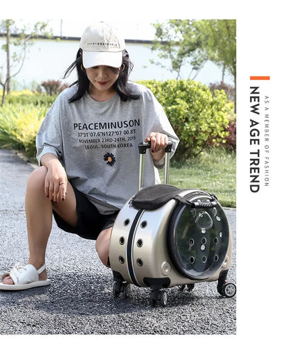 Pet Luggage, Transparent Space Capsule, Multi-purpose Backpack, Cat Bag, Large Capacity, Two Portable Small Dogs, Outdoor Bag