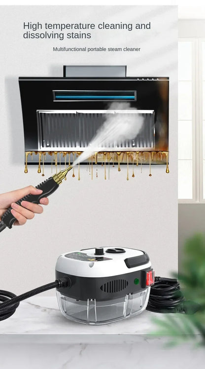 Steam Cleaners High Temperature and Pressure handhold Steam Air conditioners tool Hood Car Steam Clean 2500W