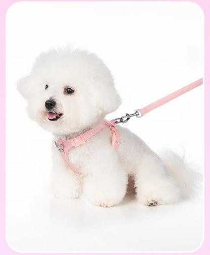 Butterfly Decor & Matching Leash Dog Harness for Small Dogs - Escape Proof Lightweight Vest