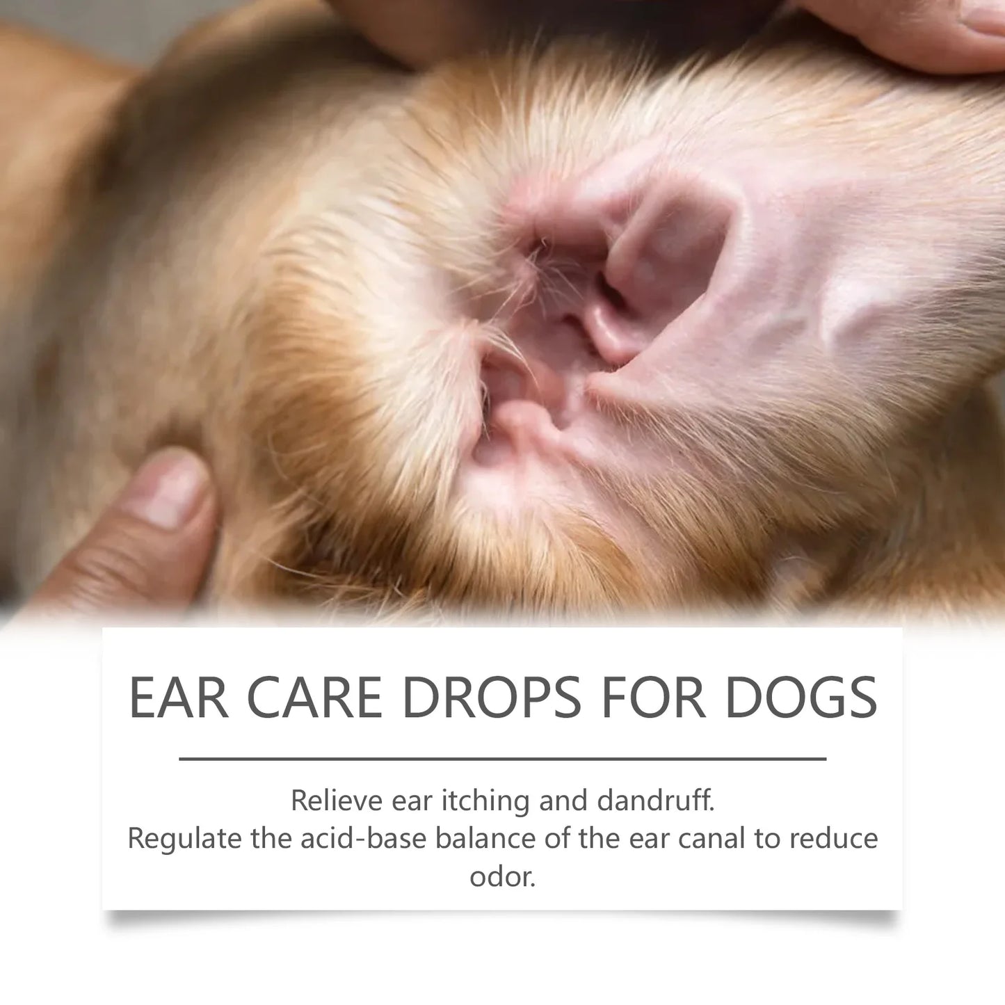 Yegbong Ear Care Drops for Dogs Pet Ear Cleaner Odor Control Dog Ear Care Soothing Ear Drops Deodorization Itchy Cleaning Liquid