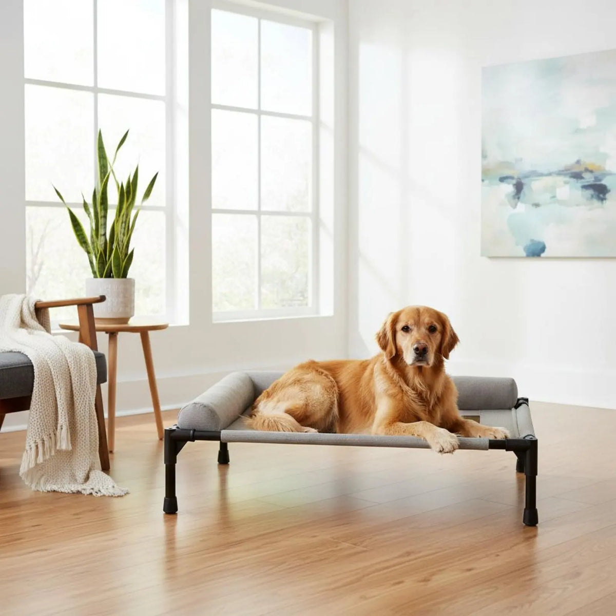 Elevated Pet Bed All-Season Use Raised Dog and Cat Bed Pet Cot Sturdy Frame With Pillow Support for Felines, Travel