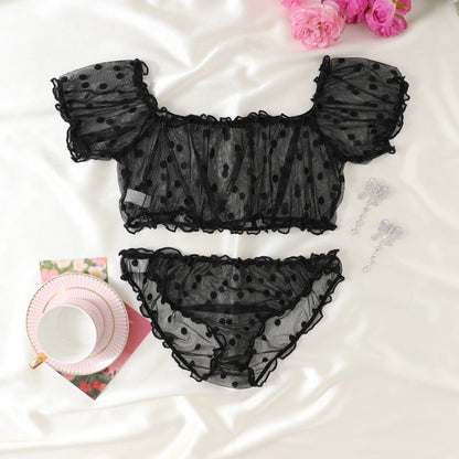 Women 2-Piece Lingerie Dot Embroidery Mesh Fancy Outfit Romantic Underwear Set Bra And Panty Sets