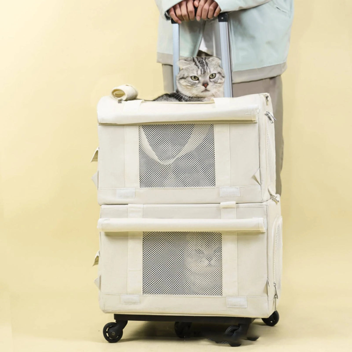 Pet Carrier with Telescopic Handle Soft-Sided Pet Carrier Trolley Travel Bag Portable Long-Lasting for Cats, Outings