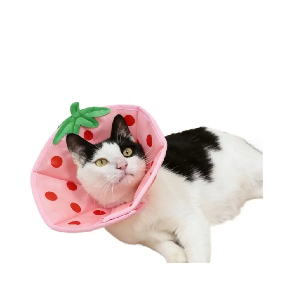 Cartoon Cat Elizabeth Collar Strawberry Bees Cat Neck Protective Circle Breathable Anti-Scratch Cat Dog Grooming Cover