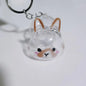 (HB05)Cartoon Pet Hair Memorial Transparent Storage Box Keyring Animal Rabbit Fur Organizer Keychain Bag Pendant Pet Souvenir