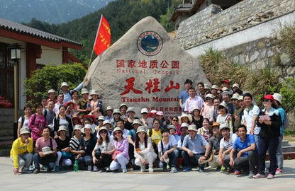 Large 4 Wheel Luxury Jogging Travel Pet Stroller Cosy Handle Dog Strollers Pet Trolley For Large Dog