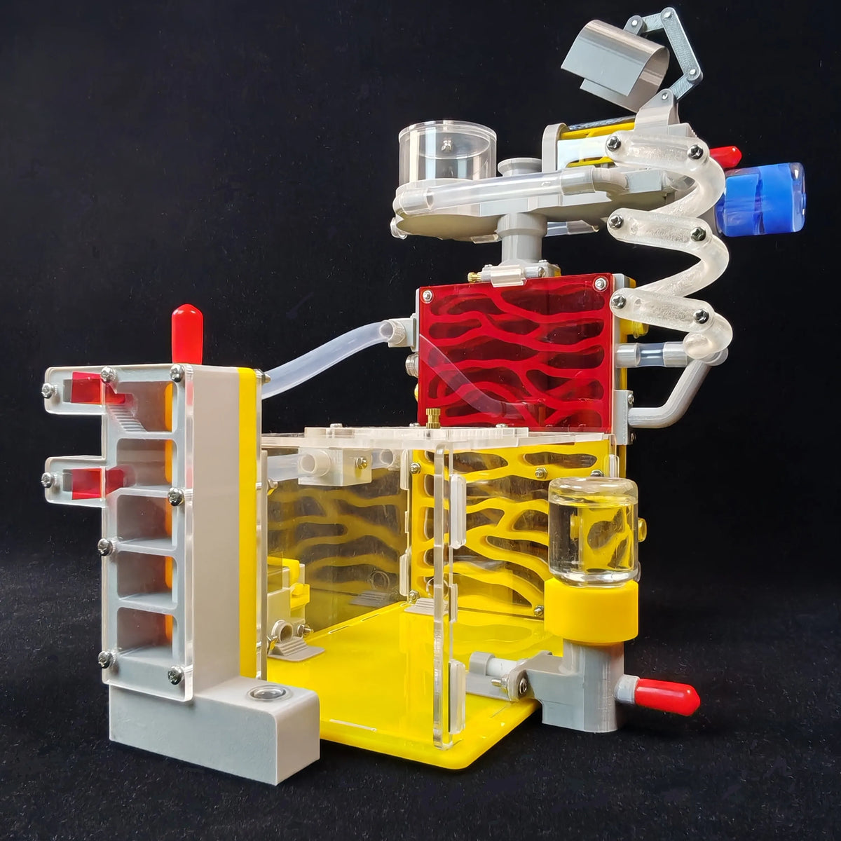 DIY Ant Nest Villa with Feeding Area Acrylic Insect Cage for House Ants Farm Pet Mania Insect Anthills