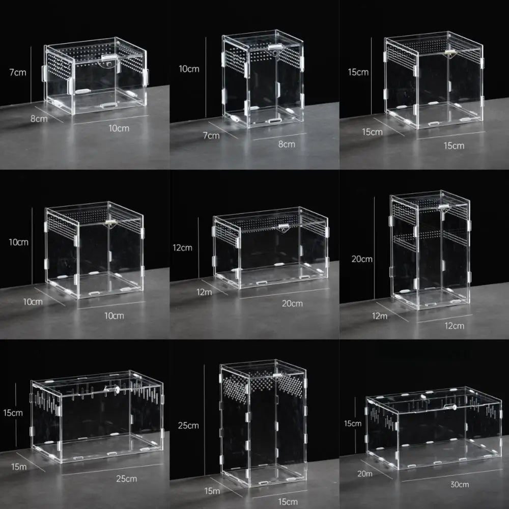 New Acrylic Reptile Habitat Anti-Escape Clear Spider Feeding Case Multiple Size Arboreal Small Pet Cage for Chameleon Clear