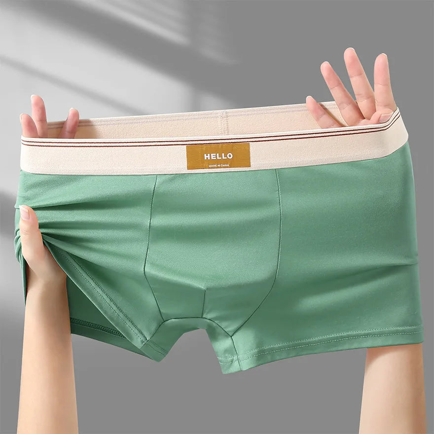 Underwear Man 2025 briefs mid-waist quadrangle pants loose XXXXL underpants men's boxer briefs confirtable clothing